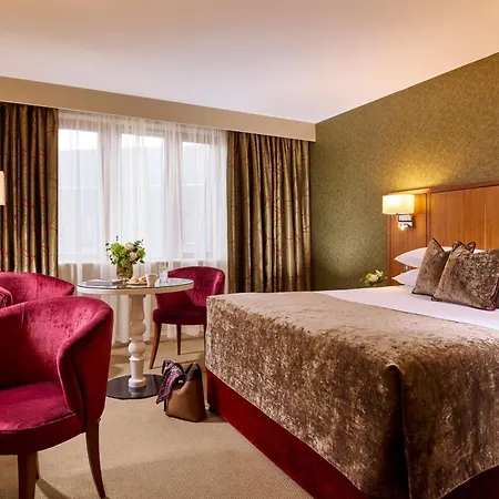 The Rose Hotel-2
